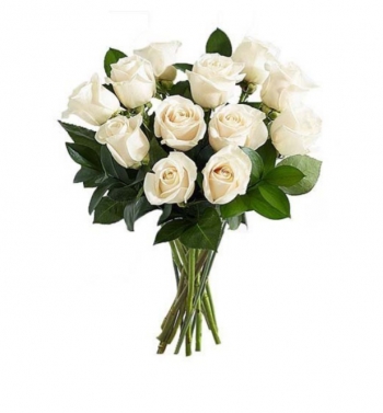 Roses all colors Christy Syria